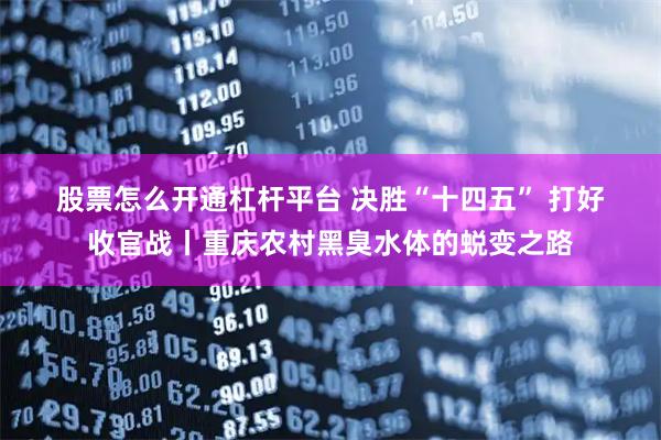 股票怎么开通杠杆平台 决胜“十四五” 打好收官战丨重庆农村黑臭水体的蜕变之路