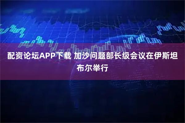配资论坛APP下载 加沙问题部长级会议在伊斯坦布尔举行