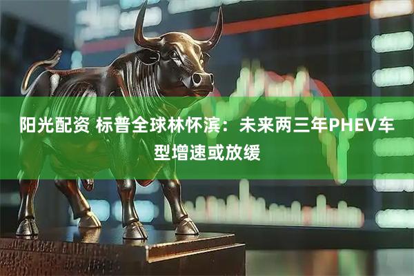 阳光配资 标普全球林怀滨：未来两三年PHEV车型增速或放缓