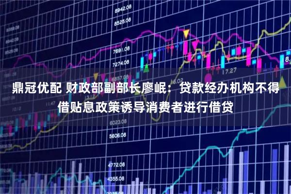 鼎冠优配 财政部副部长廖岷：贷款经办机构不得借贴息政策诱导消费者进行借贷