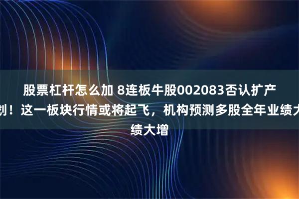 股票杠杆怎么加 8连板牛股002083否认扩产计划！这一板块行情或将起飞，机构预测多股全年业绩大增