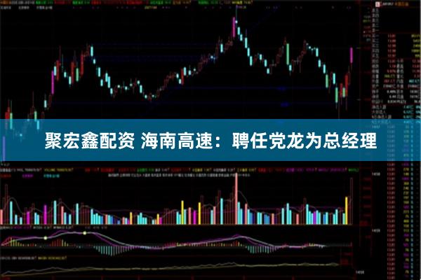 聚宏鑫配资 海南高速：聘任党龙为总经理