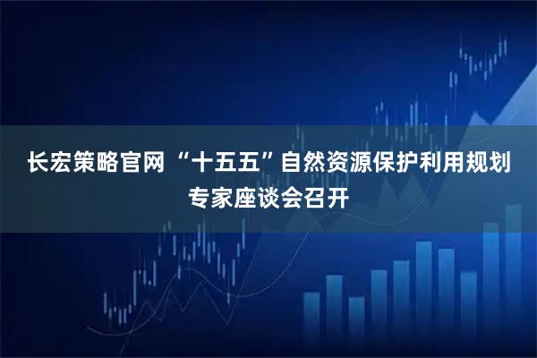 长宏策略官网 “十五五”自然资源保护利用规划专家座谈会召开