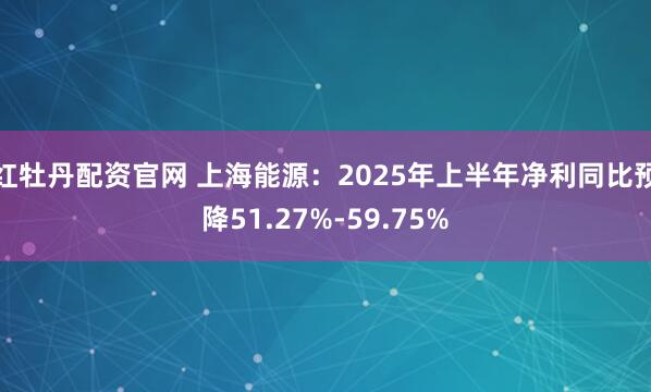 红牡丹配资官网 上海能源：2025年上半年净利同比预降51.27%-59.75%