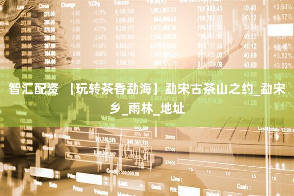 智汇配资 【玩转茶香勐海】勐宋古茶山之约_勐宋乡_雨林_地址