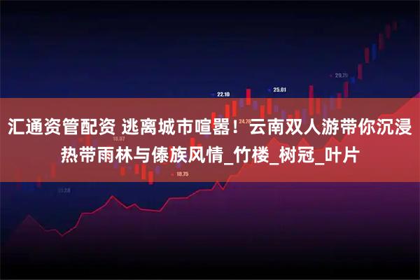 汇通资管配资 逃离城市喧嚣！云南双人游带你沉浸热带雨林与傣族风情_竹楼_树冠_叶片