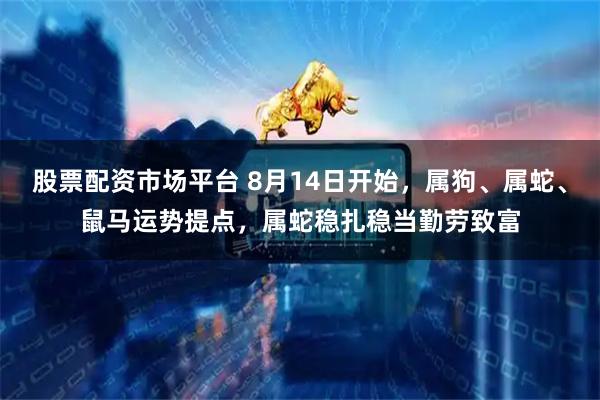 股票配资市场平台 8月14日开始，属狗、属蛇、鼠马运势提点，属蛇稳扎稳当勤劳致富